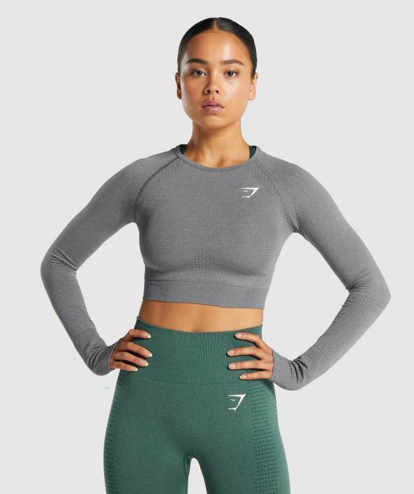 Damske Crop Top Gymshark Vital Seamless 2.0 Long Sleeve Siva | LG2850963